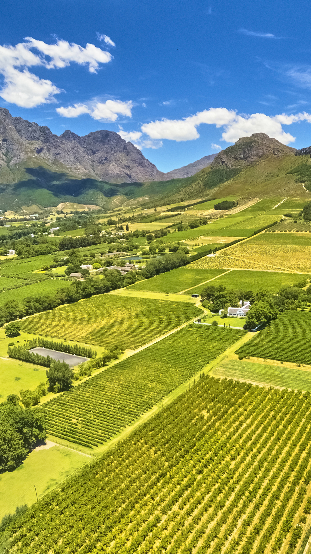 Mountain Plantations