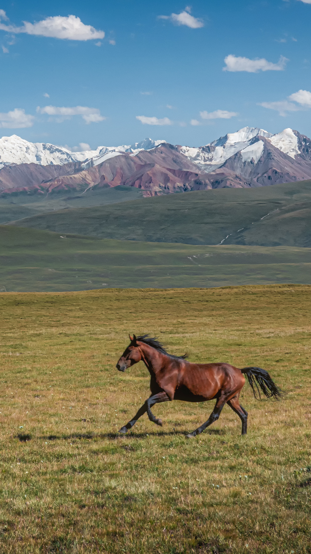 Flatland and Mountains